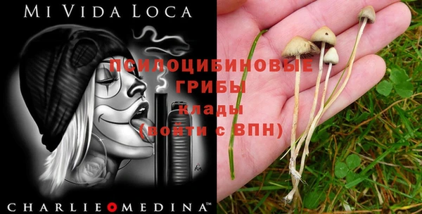 гашиш Кодинск