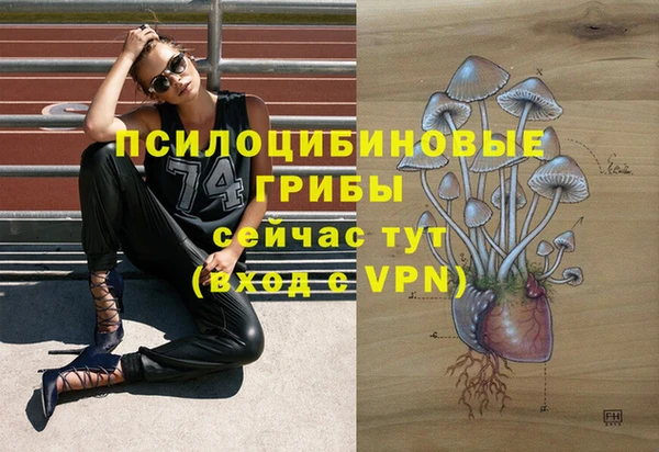тгк Козловка