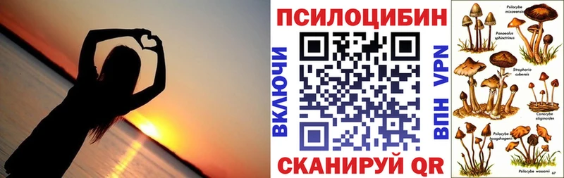 Купить закладки  Красный Сулин  Галлюциногенные грибы ЛСД 